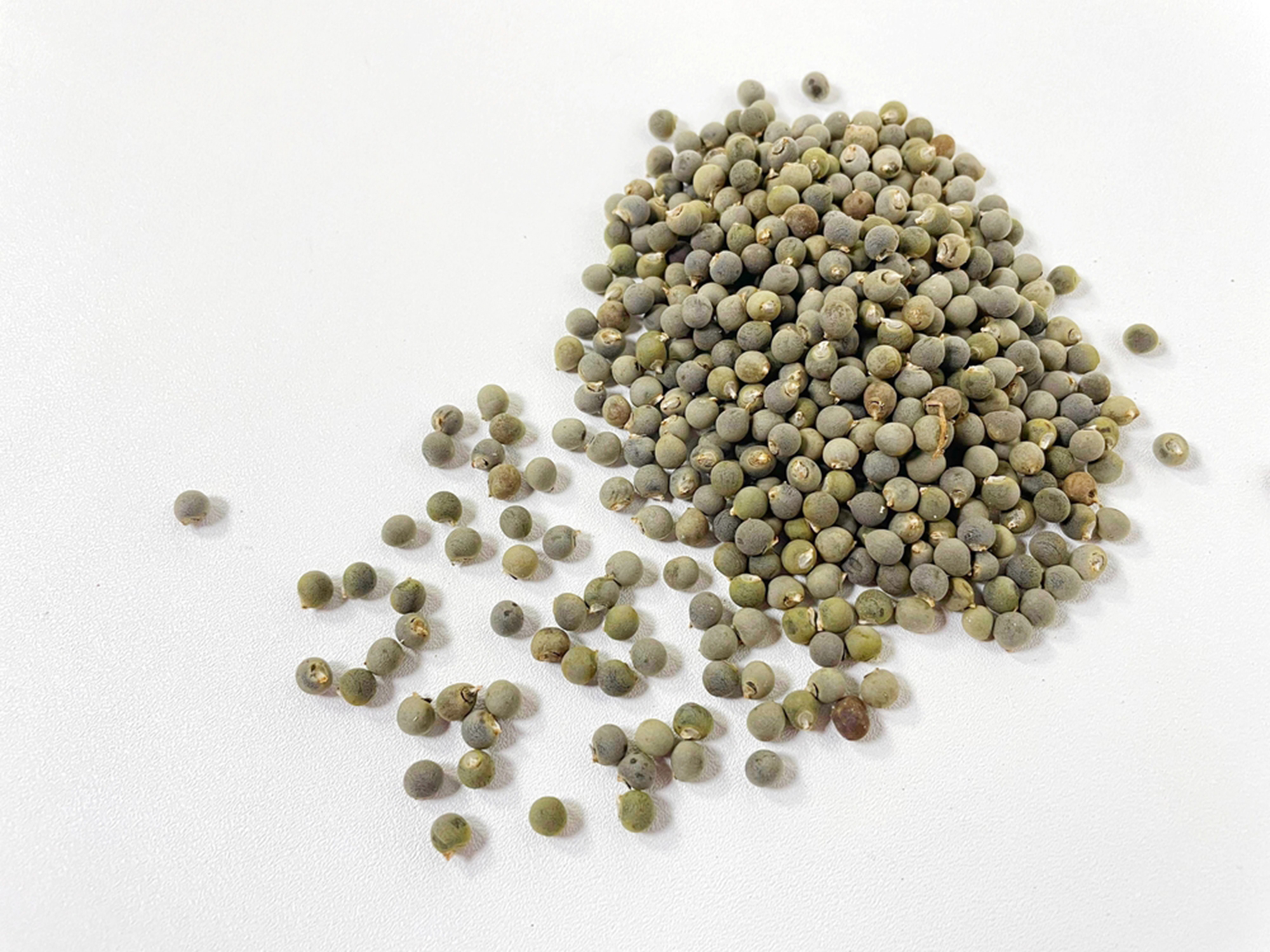 abelmoschus,asculentus.,pile,of,okra,or,okra,seeds,isolated,on